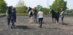 Groundwork Clinic w/ Rosca Horsemanship at Derby College Equestrian Centre