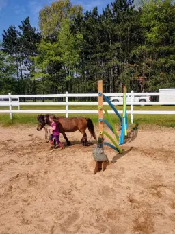 Introducing... MCC Obstacle Clinic at HVEC!