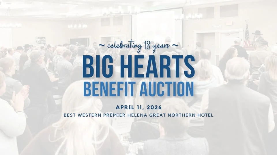 2026 Big Hearts Benefit Auction