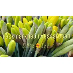 Påskmarknad i Vasastugan, Vårsta.