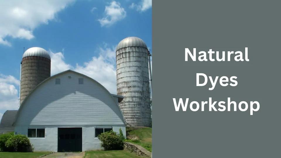 Natural Dyes Workshop