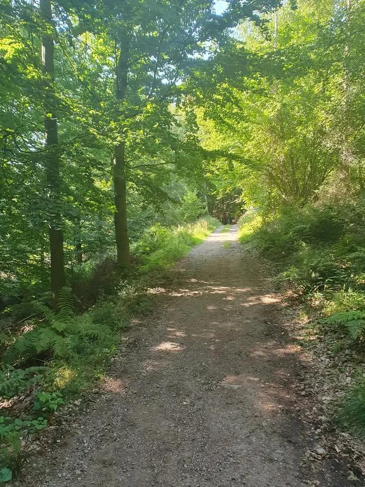 Änglabudskap med Ylwa. Ingen föranmälan