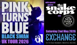 PINK TURNS BLUE - The Black Swan Tour + The Snake Corps & The New Dark Age