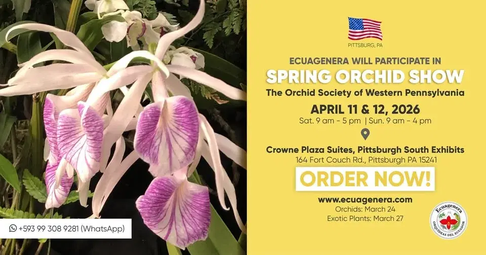 Ecuagenera will participate in Spring Orchid Show - The Orchid Society of Western Pennsylvania