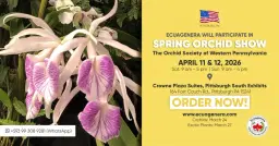 Ecuagenera will participate in Spring Orchid Show - The Orchid Society of Western Pennsylvania