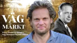 Vägmärkt - Peter Elmberg & KG Hammar tolkar Dag Hammarskjöld