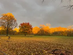 Twilight at the Fort (all ages)