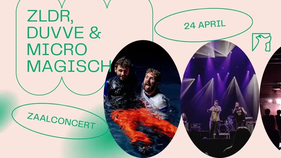 ZLDR, DUVVE & Micromagisch ✦ Zaalconcert ✦ Snuffel Hostel