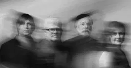 The New Pornographers