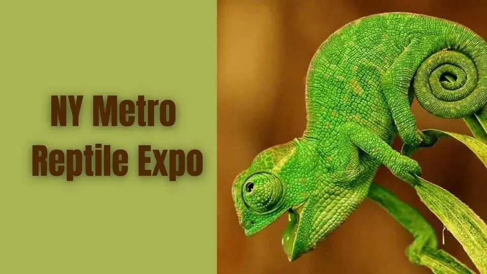New York Metro Reptile Expo
