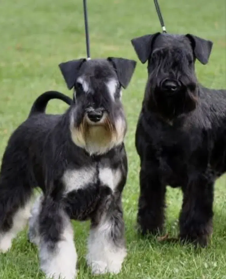 Trimkurs fortsättning (del 2)