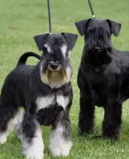 Trimkurs fortsättning (del 2)