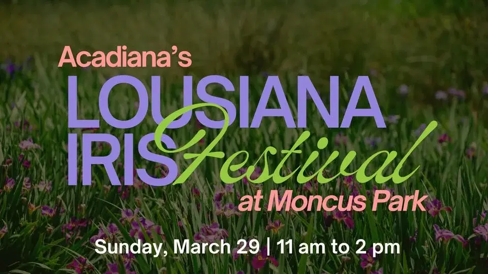 Acadiana's Louisiana Iris Festival