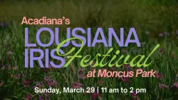 Acadiana's Louisiana Iris Festival