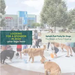 Splash Pad Party for Dogs
