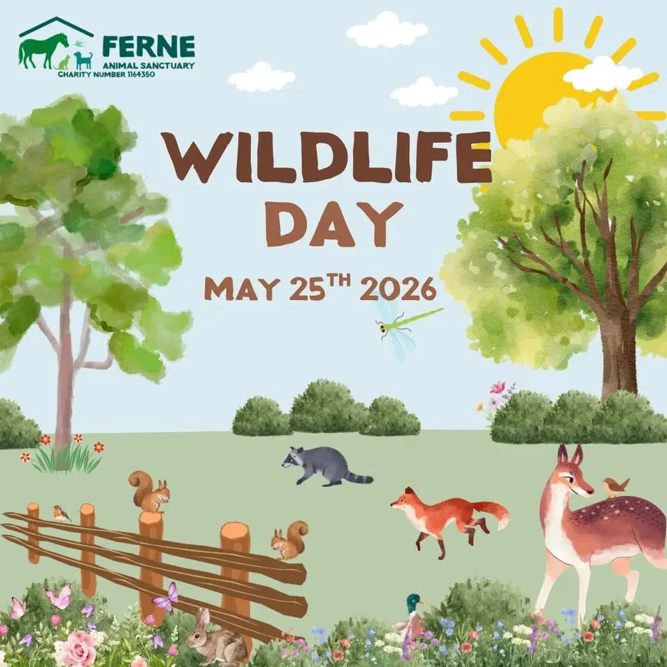 Wildlife Day