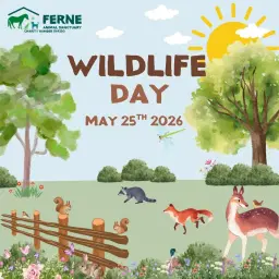 Wildlife Day