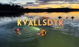 Kvällsdyk Båtdyk Pilkobbsvraket