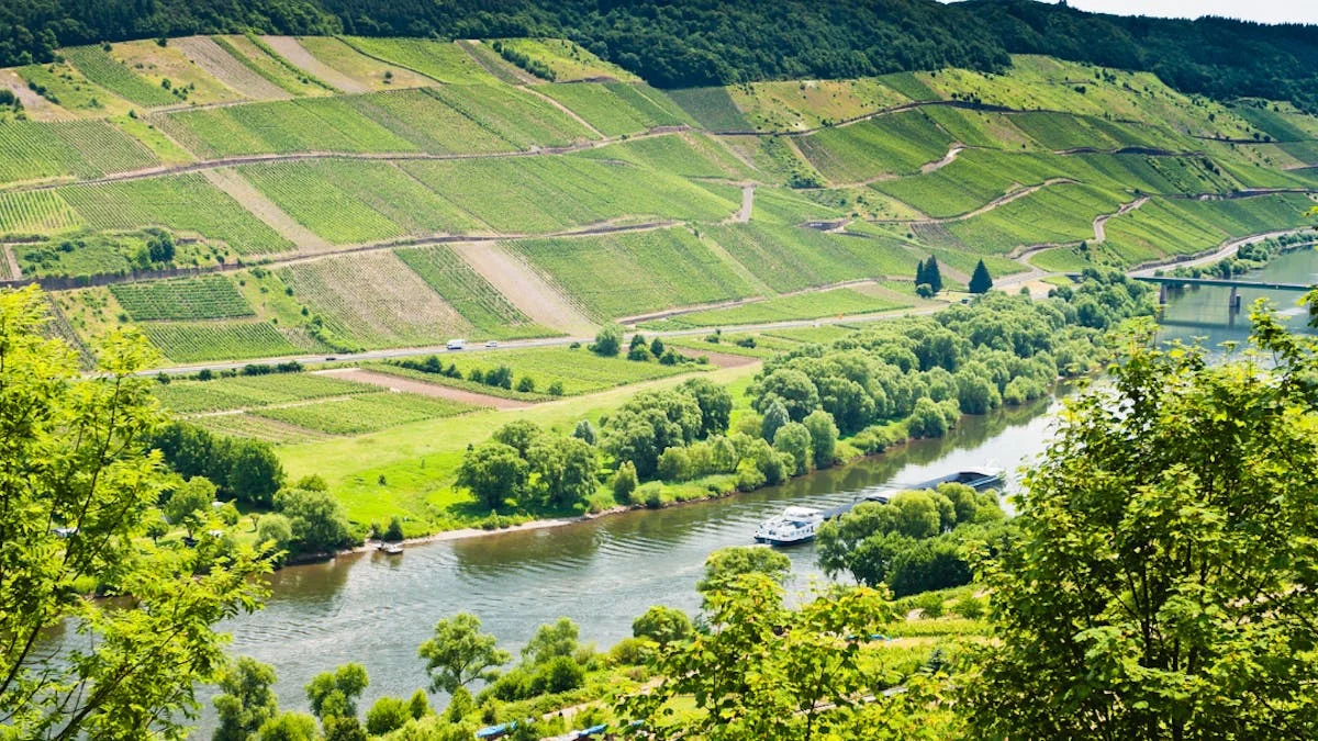 Tysk Riesling & Asparges - Winemakers Dinner