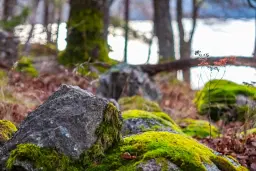 Lida och Norrga – skogspärlor i södra Stockholm