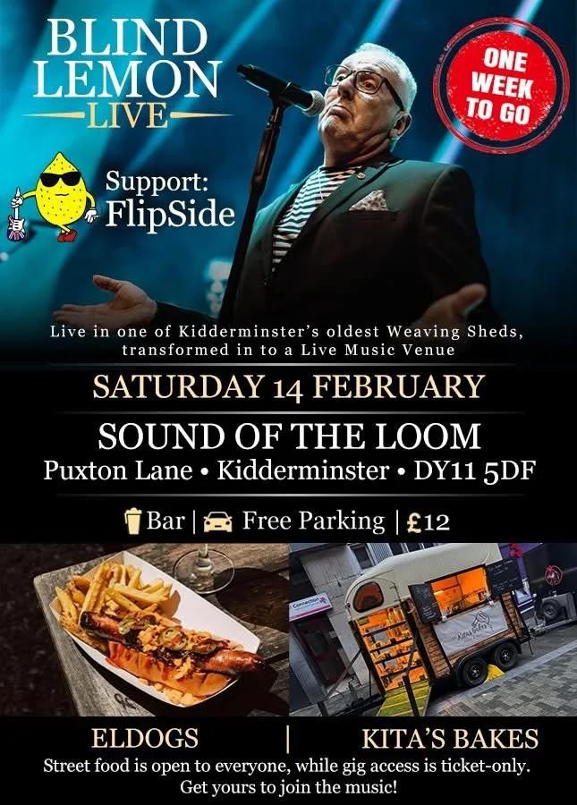 SOUND OF THE LOOM: Blind Lemon In Concert