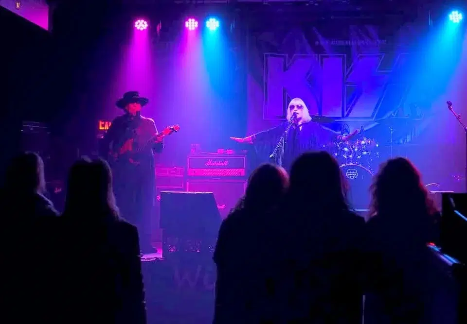 WILD ANGEL : THE STEVIE NICKS SONGBOOK