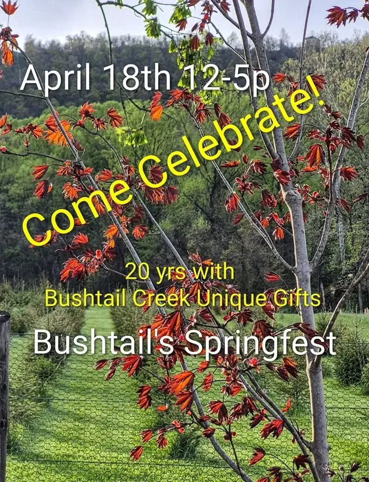Bushtail's Springfest