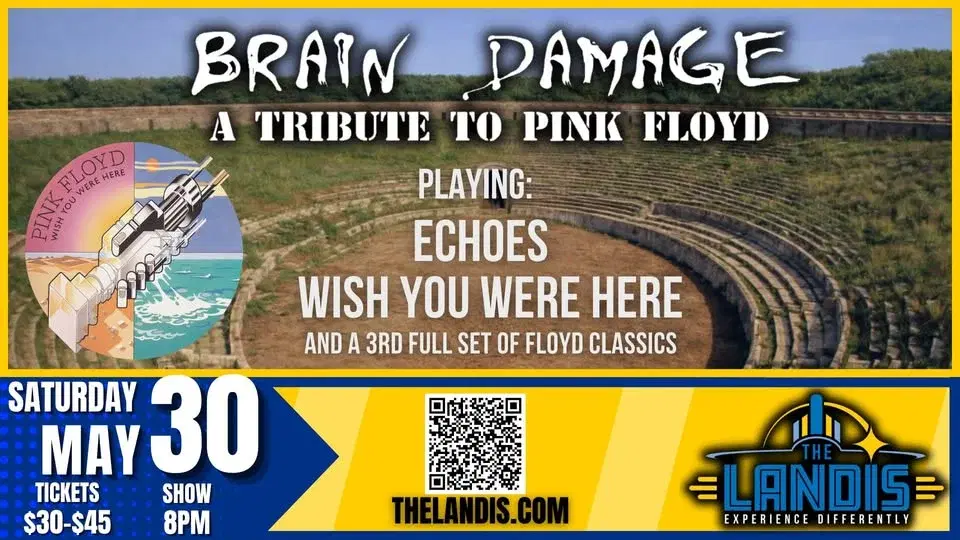 Brain Damage: Performing Pink Floyd's "Wish You Were Here" + MORE!