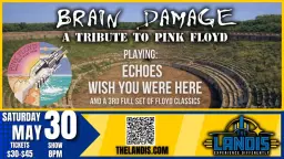 Brain Damage: Performing Pink Floyd's "Wish You Were Here" + MORE!