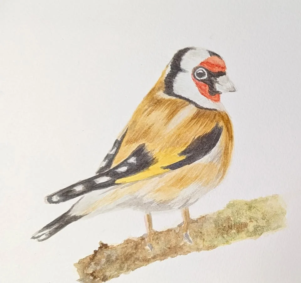 Watercolour Birds Workshop