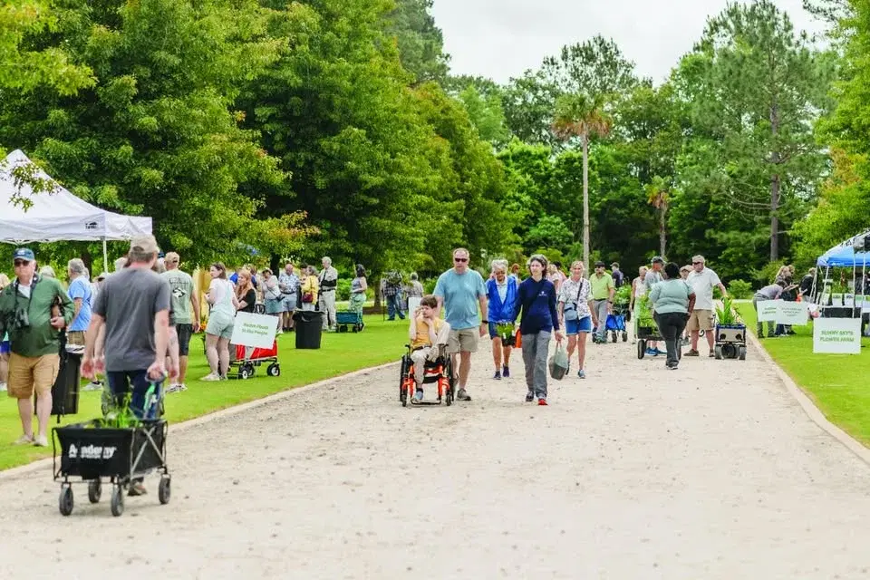 Spring Plant Sale + Vendor Market | ArtFields 2026