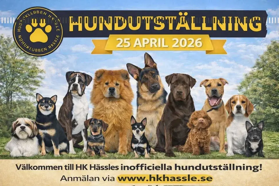 đŸ VĂ€lkommen till HK HĂ€ssles inofficiella hundutstĂ€llning! đŸ