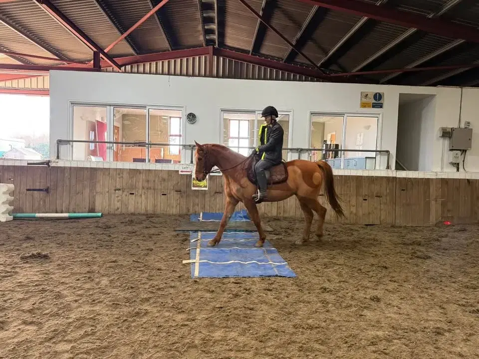 Wakefield Obstacle Clinic