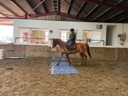 Wakefield Obstacle Clinic