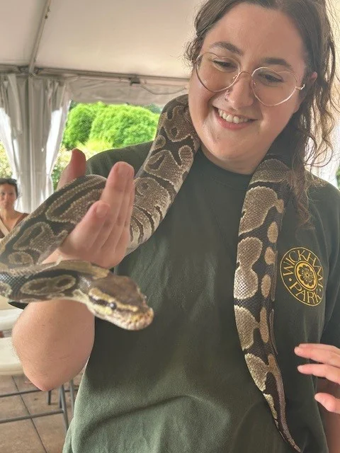 Children's Performance Series: Curious Creatures