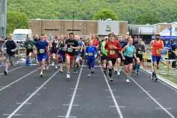 Corning Incorporated Wineglass 8K