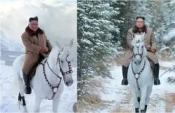 Požurivanje konja bijelih Mile Hrnića