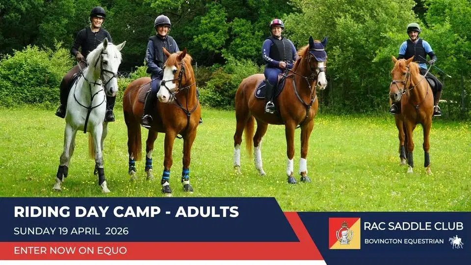 RACSC Riding Day Camp for Adults - ENTER NOW