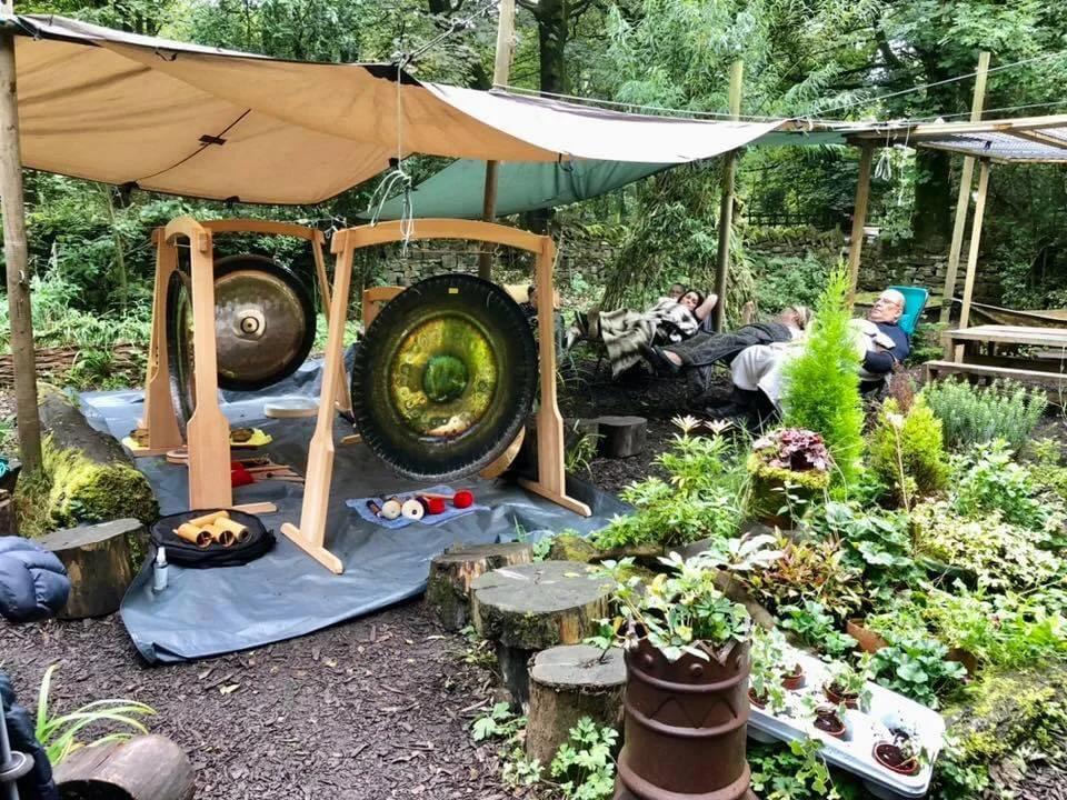 Forest Sound Bath