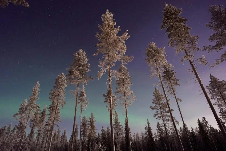 Tillitsdialog över gränser: Sverige-Finland