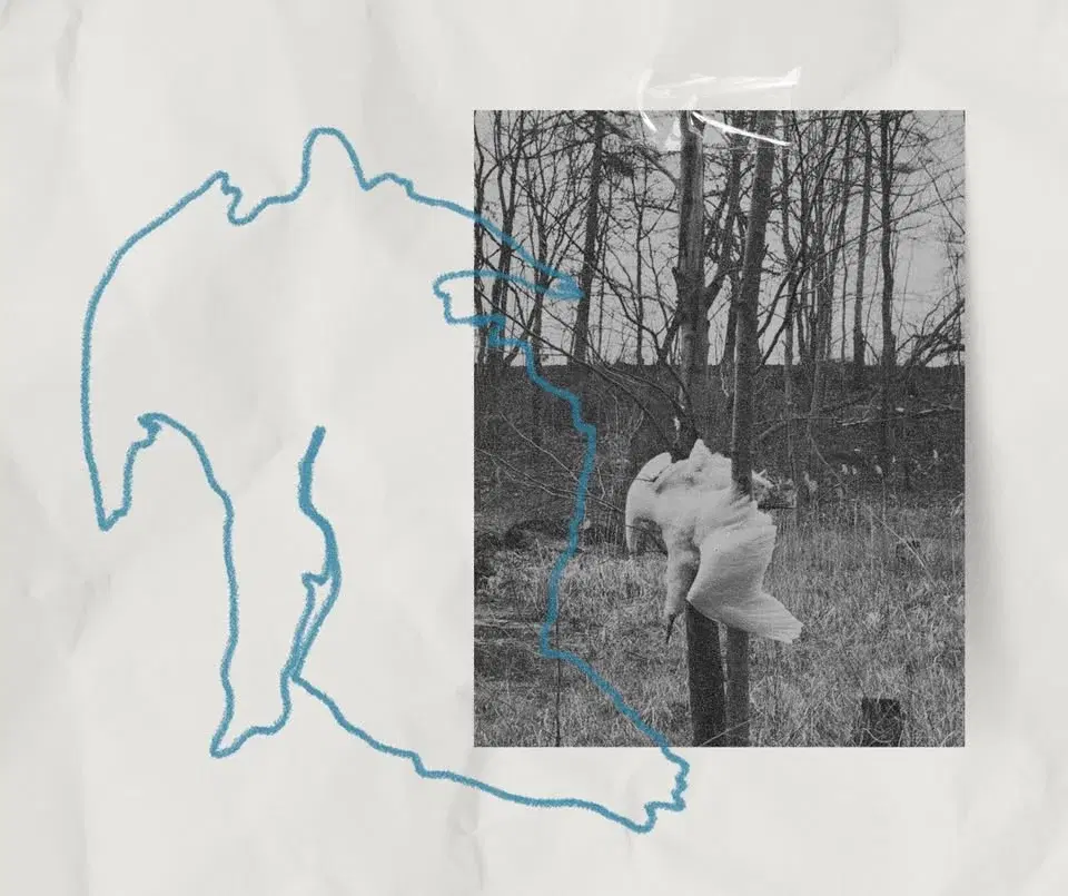 Mullvadens sång - Johanna Ståhl & Cha Blasco