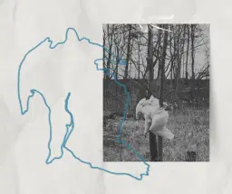 Mullvadens sång - Johanna Ståhl & Cha Blasco