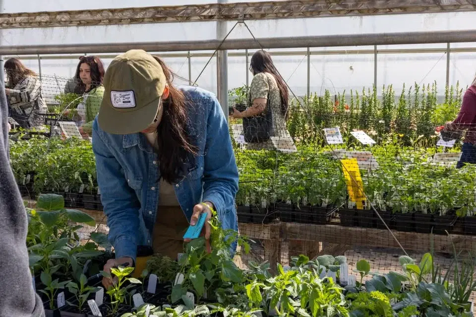 Annual Spring Plant Sale