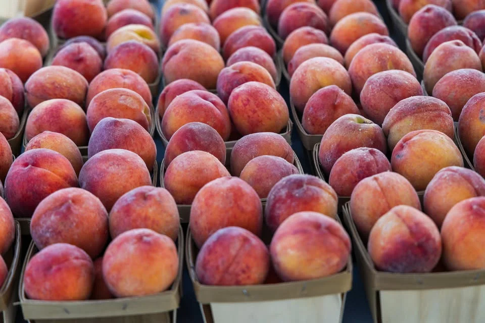 2026 St. Joe Farmers Market