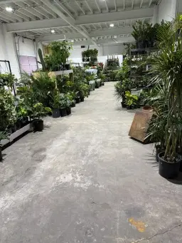 Warehouse Plant Sale MARCH 28th