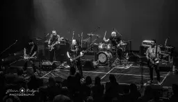 The FOOBULOUS Dave Grohl Birthday Bash!