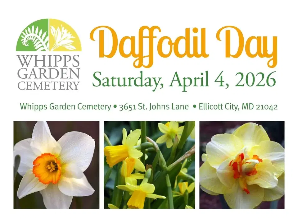 Annual Daffodil Day Celebration