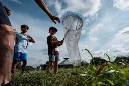 Bugs -n- Blooms Camp!