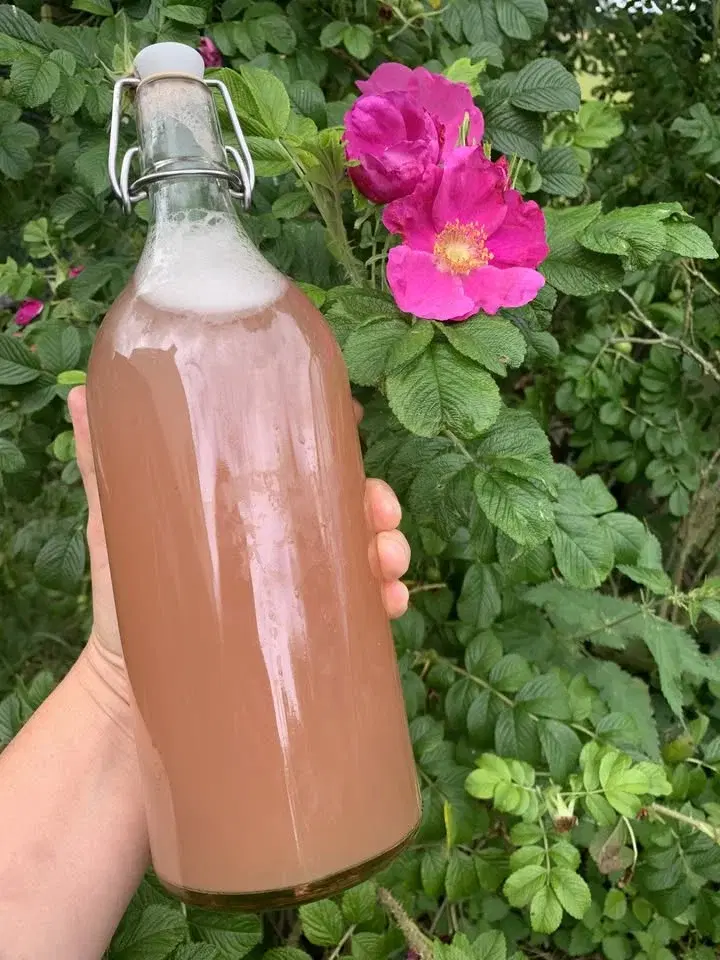 Summer Kombucha Masterclass
