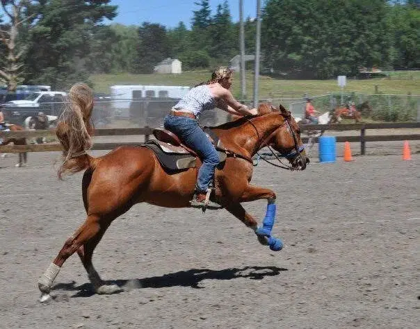 July SVH Summer Gaming Series 2 Day Show @ the Stanwood-Camano Fairgrounds